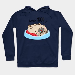 Sleepy Pug Hoodie